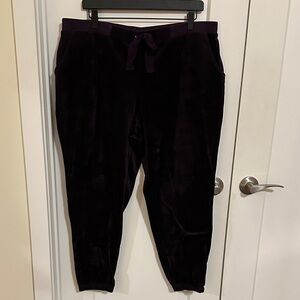 Simply Vera Vera Wang Deep Purple Velour Pants